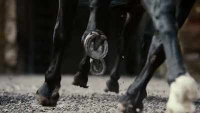 horse-whinnies - Will