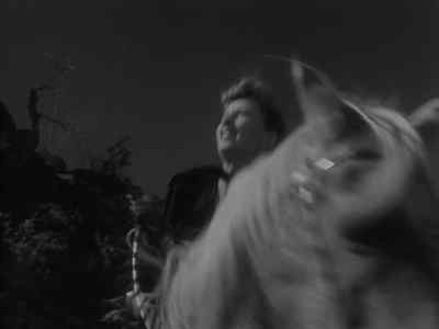 [horse whinnies] - The Furies