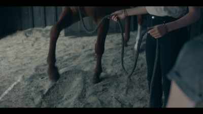[HORSE WHINNIES]
- [SHUSHES] - Mystic
