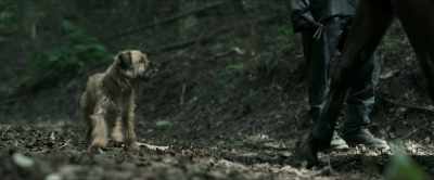 [HORSE WHINNIES][WHIMPERS] - Chaos Walking