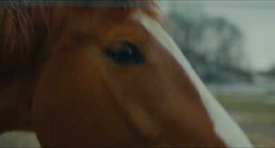 [horse whinnying] - Christmas Cowboy