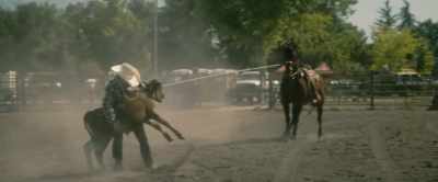 (horse whinnying) - Roped