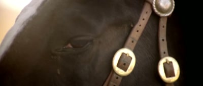 [horses neigh] - Night of the Tommyknockers