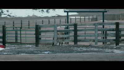 - Horses sense the storm, huh? - Wind River