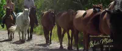 [horses snorting] - Take My Hand