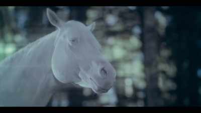 [HORSES STARTLE, NEIGH] - Mystic