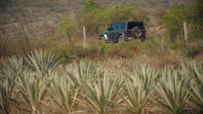 Hot, arid plains are
the perfect breeding ground, - Eva Longoria: Searching for Mexico