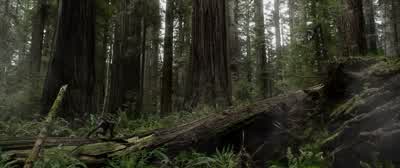 Hot Spot One arrival. - After Earth
