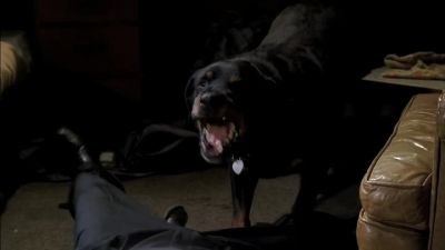 Hotch! Hotch! - Criminal Minds