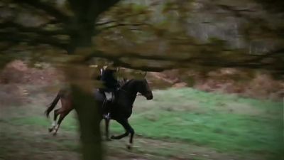 HOUNDS BAY - Midsomer Murders
