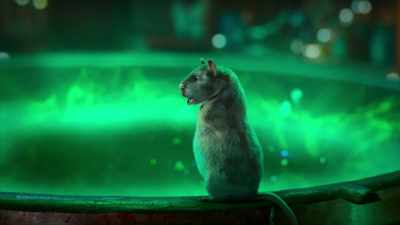 How about a group vacation? Huh? Just us! - Scaredy Cats