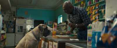 -How about a Slim Jim? Yeah.
-That's the one. - A Dog's Journey