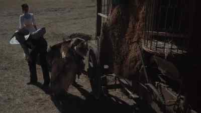 How about adopting him, mister? - The Life and Times of Judge Roy Bean