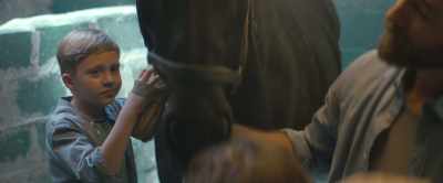 How about Lady? Because she's so elegant. - Black Beauty