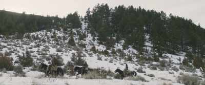 How about the horses? - Robert the Bruce