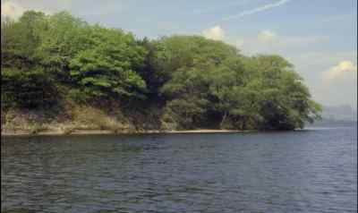 How about there
for a landing place? - Swallows and Amazons