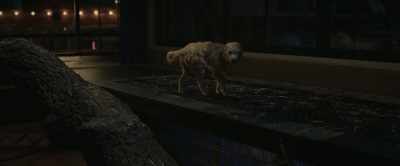 How am I supposed to get her outta here?
And where would we go? - The One and Only Ivan