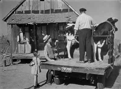 How are you lady?
Did you have a good trip? - The Southerner