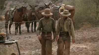 How are they? - The Culpepper Cattle Co