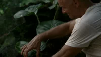 How are they? - Lost