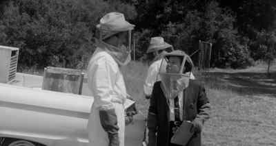 How are things running at the front office - The Wasp Woman