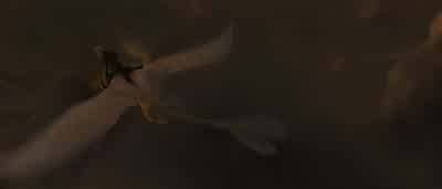 How are we gonna get him off her back without hurting her? - How to Train Your Dragon: The Hidden World