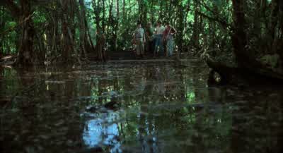 How are we supposed to get across this? - Stand by Me