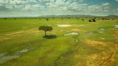 How better to finish the day
than a team celebration? - Serengeti