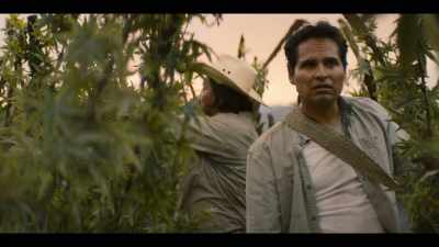 How big is this place? - Narcos: Mexico