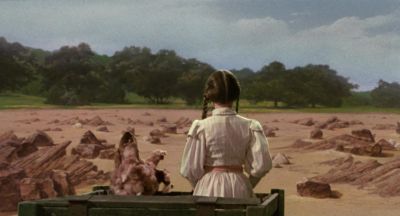 How big is this pond anyway - Return to Oz