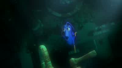 All right anyone elseHow about you mate What's your problemMe I don't have a problemOh OKDenial Aah - Finding Nemo