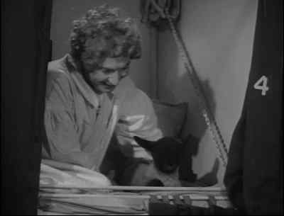 How can you fall asleep - At the Circus
