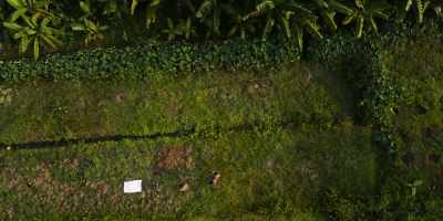 How can I predict the future? - Omnivore