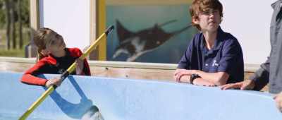 How can you not like
a turtle named Rocky, - Bernie the Dolphin 2
