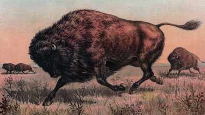 How can we profit from this?" - The American Buffalo