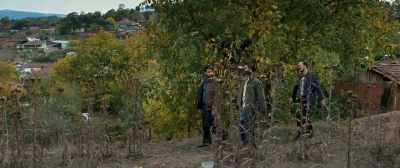 How can we say that - The Wild Pear Tree