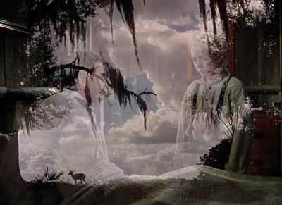 How come you not to do what I told you? - The Yearling