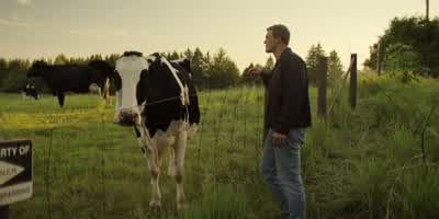 How come your owner's buying you and your pals so much feed? - Reacher