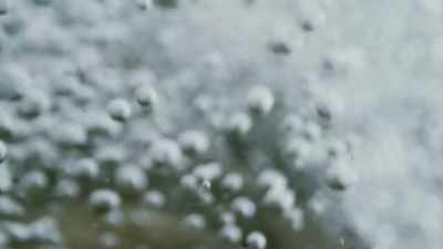 How could any plant survive
in a place like this? - The Green Planet