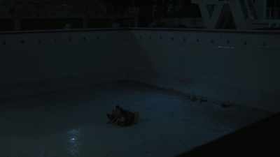 How could you be worse than this? - The Pool