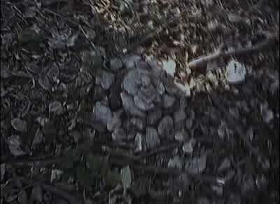 How would we have like just made a campsitein between three piles of rocks just by coincidence - The Blair Witch Project