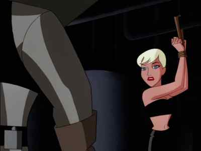 How could you have lost him? - The New Batman Adventures