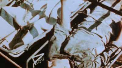 How did it come to this? - The Pacific War in Color