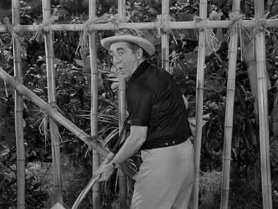- 'How did you ever do that?'
- Top secret, my boy. - Gilligan's Island