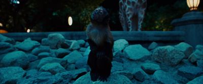 How did you get out of your enclosures - Zookeeper