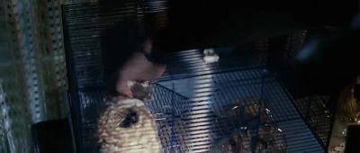 How did you guys get out - The Spiderwick Chronicles