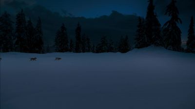 How did this happen - Snow Buddies