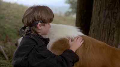 How did you know? - Lassie