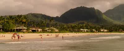 How did you and Mom meet? - The Descendants