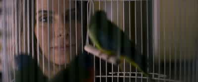 How did you guys get so lucky? - Bird Box